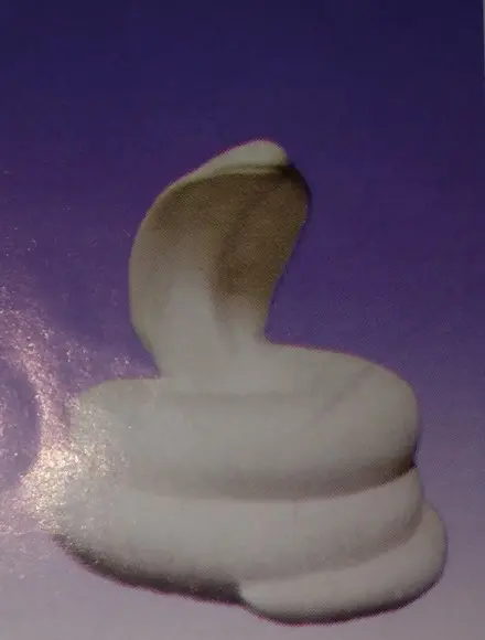 Cobra Naja Imagem Cobra Enrolada Naja Escultura em Gesso Cru