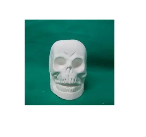 Crânio Caveira Mini Imagem Cranio