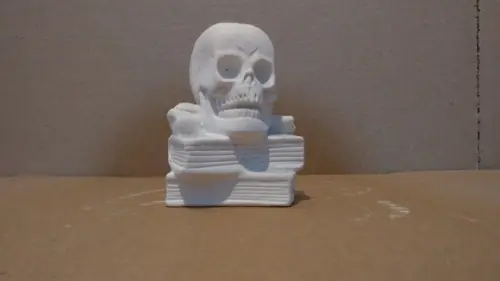 Escultura Caveira em Cima do Livro Cranio no Livro Gesso Cru