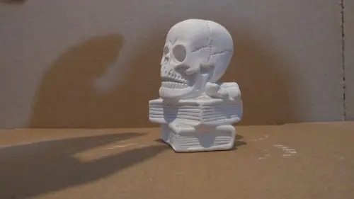 Escultura Caveira em Cima do Livro Cranio no Livro Gesso Cru