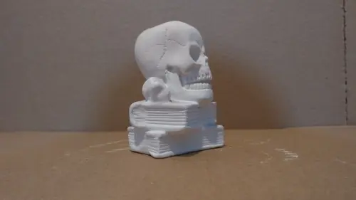 Escultura Caveira em Cima do Livro Cranio no Livro Gesso Cru
