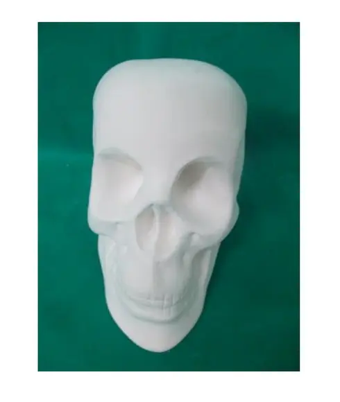 Escultura Caveira Imagem em Gesso Puro para Pintar