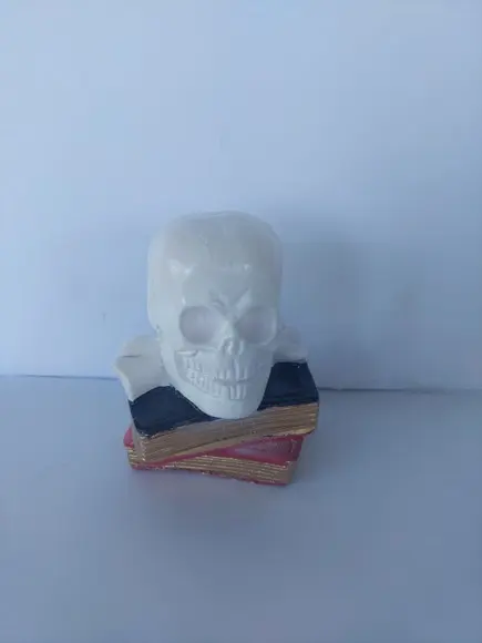Escultura Cranio em Cima dos Livros Imagem Livro com Cranio