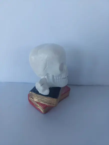 Escultura Cranio em Cima dos Livros Imagem Livro com Cranio