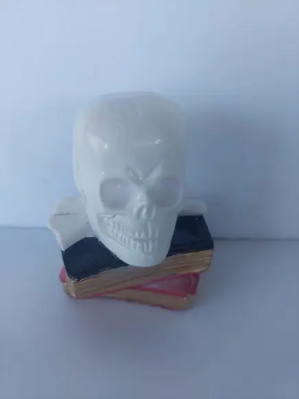Escultura Cranio em Cima dos Livros Imagem Livro com Cranio