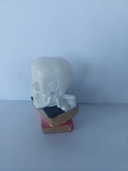 Escultura Cranio em Cima dos Livros Imagem Livro com Cranio