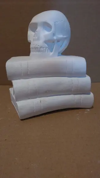 Escultura Cranio no Livro Caveira em Cima do Livro Gesso Cru