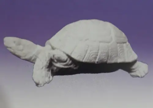 Escultura Tartaruga Imagem em Gesso Cru para Pintar