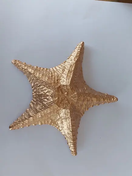 Estrela do Mar Imagem Estrela Dourada p/ Pendurar na Parede