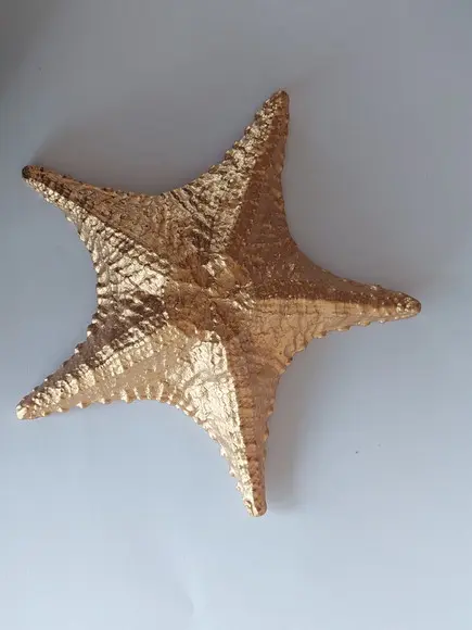 Estrela do Mar Imagem Estrela Dourada p/ Pendurar na Parede