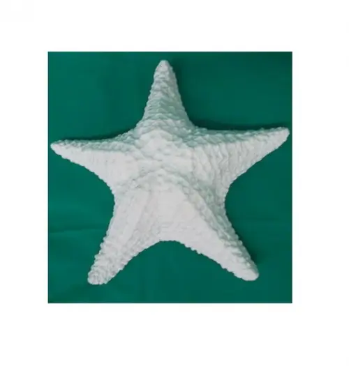 Estrela do Mar Imagem Estrela p/ Pendurar Parede Gesso Cru