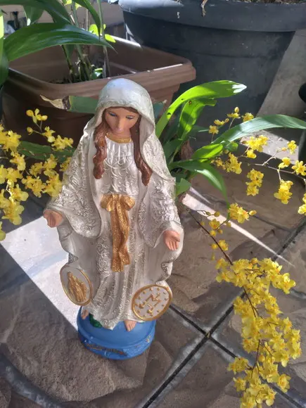 Imagem Nossa Senhora das Graças das Medalhas Pintura Linda