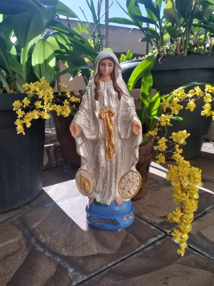 Imagem Nossa Senhora das Graças das Medalhas Pintura Linda