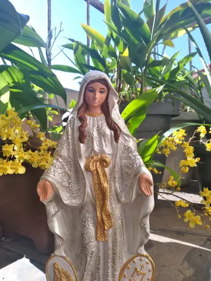Imagem Nossa Senhora das Graças das Medalhas Pintura Linda