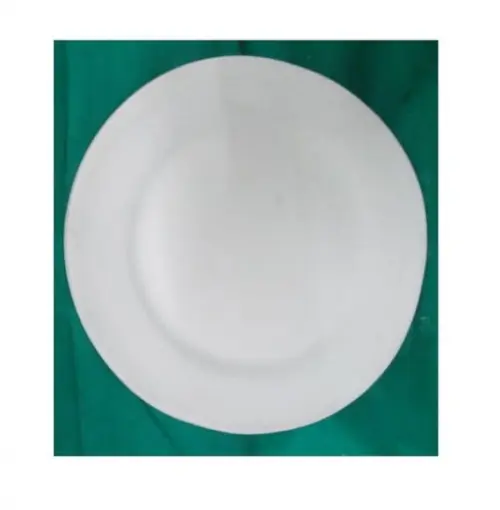 Prato Liso Escultura em Gesso Cru para Festa Grega 23x23cm