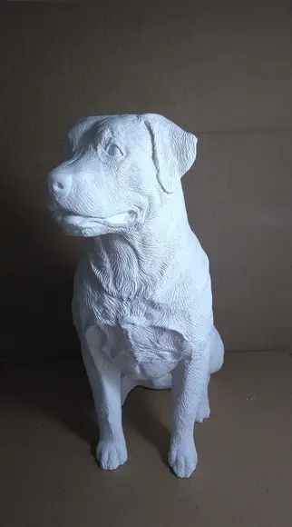 Rottweiler Cachorro Rottweiler Escultura em Gesso Cru