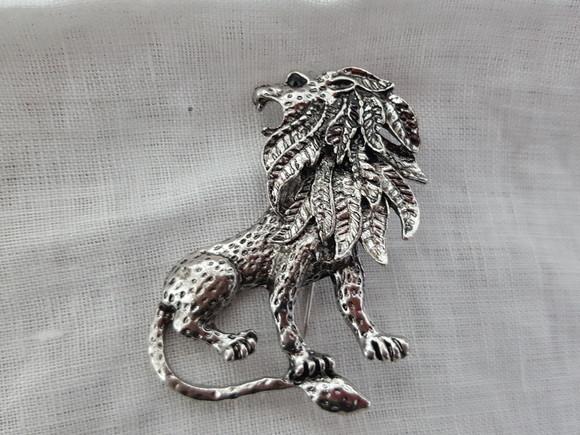 Broche Banhado a Prata com Strass