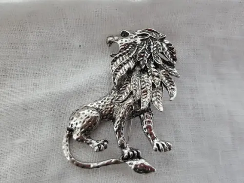 Broche Banhado a Prata com Strass