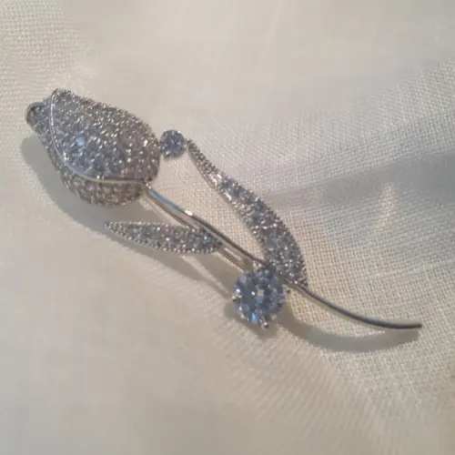 Broche Banhado Cravejado de Mini Zircônias
