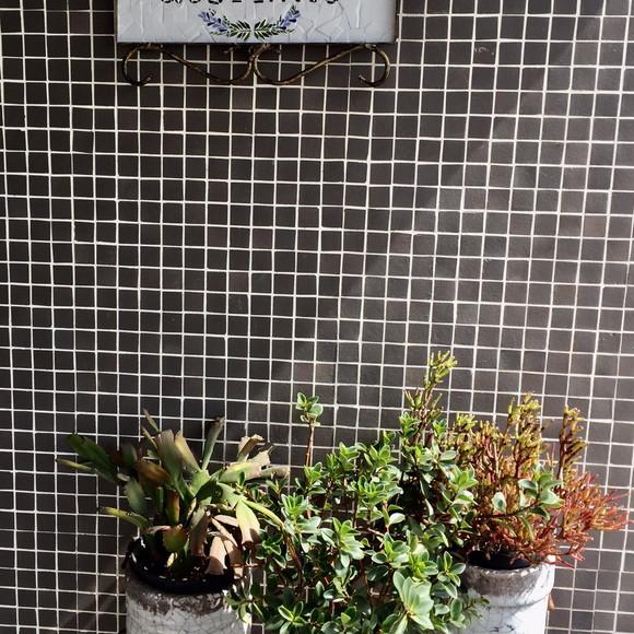 Placa Decorativa em Mosaico
