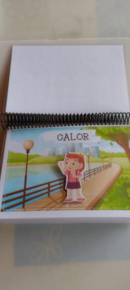 Caderno de Conceitos 2