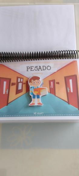 Caderno de Conceitos 2