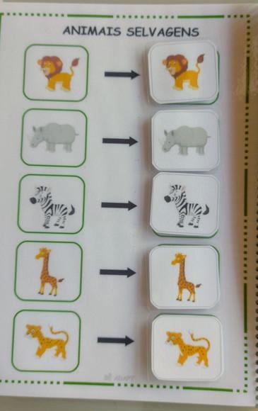 Caderno de Pareamento Por Categoria