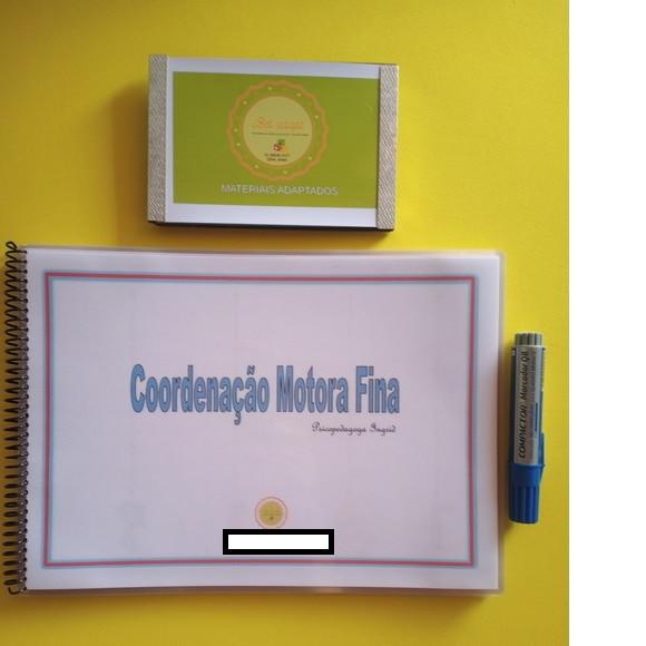 Coordenação Motora Fina