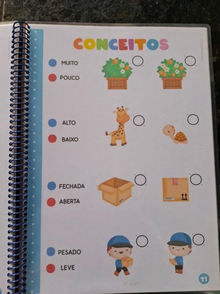 Mini Apostila Educação Infantil