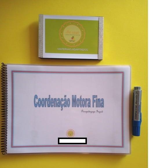 Coordenação Motora Fina