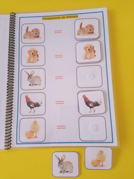 Meu Caderno De Pareamento