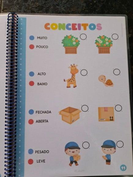 Mini Apostila Educação Infantil