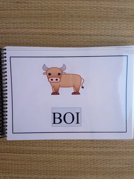 Bilabiais - B