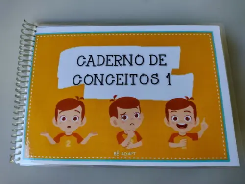 Caderno de Conceitos 1