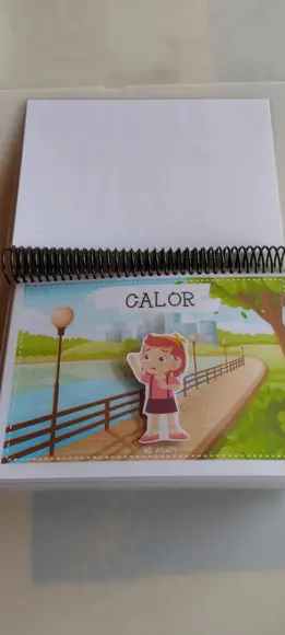 Caderno de Conceitos 2