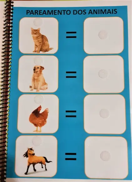 Caderno de Pareamento