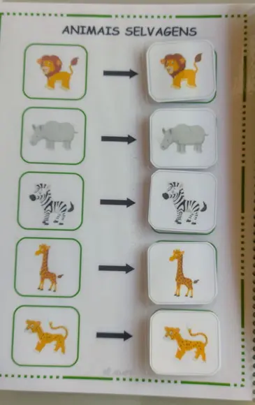 Caderno de Pareamento Por Categoria