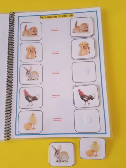 Meu Caderno De Pareamento
