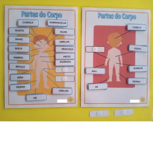 Partes do corpo