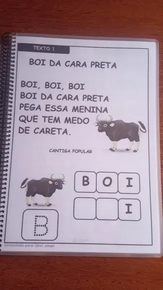 Apostila de Alfabetização