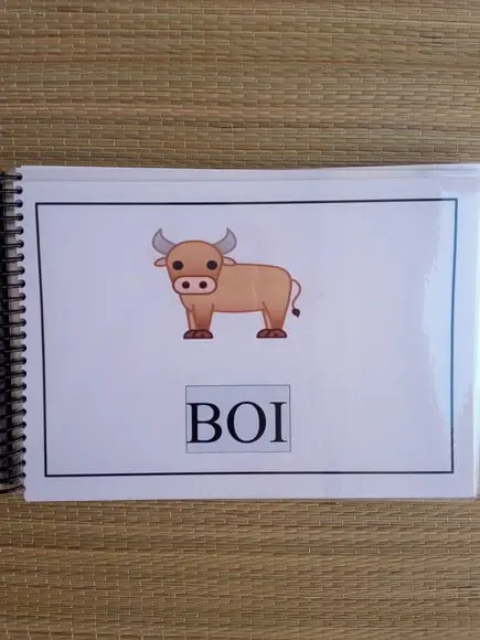 Bilabiais - B