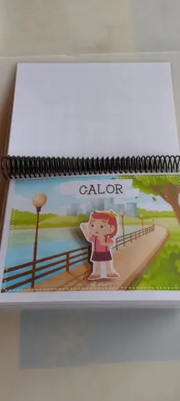 Caderno de Conceitos 2