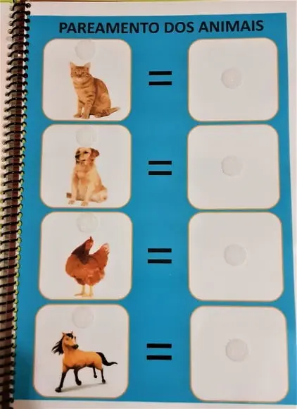 Caderno de Pareamento