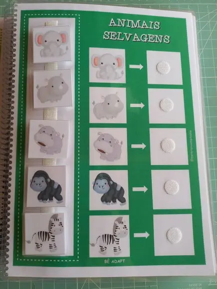 Pareamento de Animais