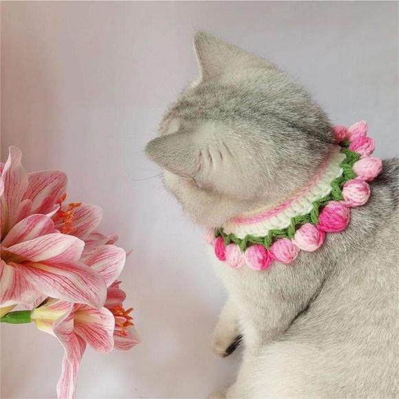 Colar para Gato