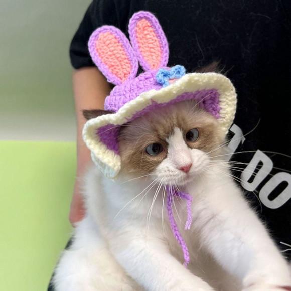 Fantasia Coelho para Gato