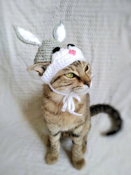 Fantasia para Gato