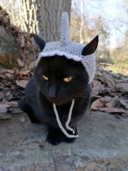 Fantasia para Gato Florzinha