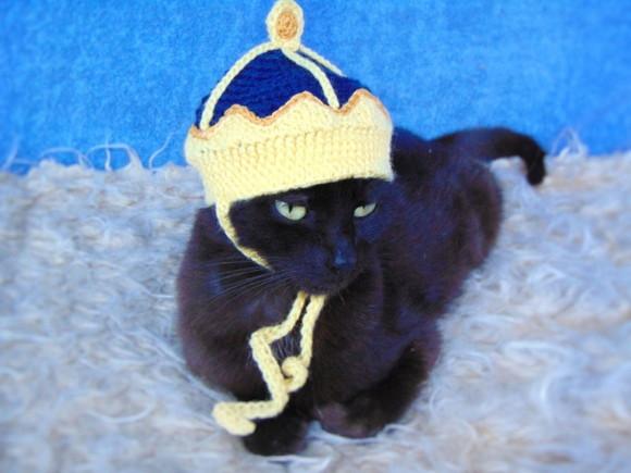 Fantasia Rei para Gato