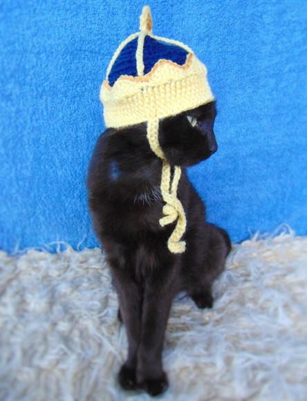Fantasia Rei para Gato